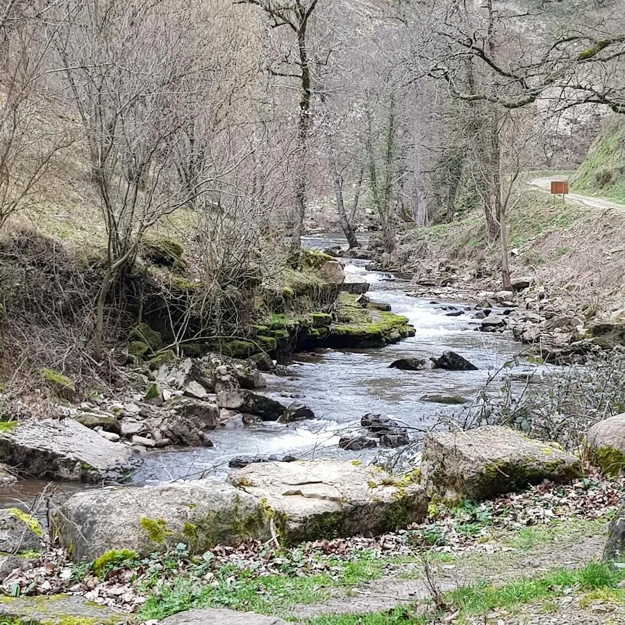 Holiday home Aubrac Brameloup Villa Prades-d'Aubrac