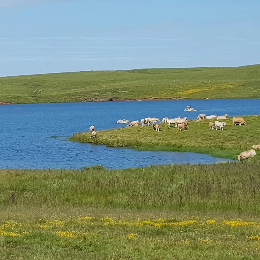 Holiday home Aubrac Brameloup Villa Prades-d'Aubrac